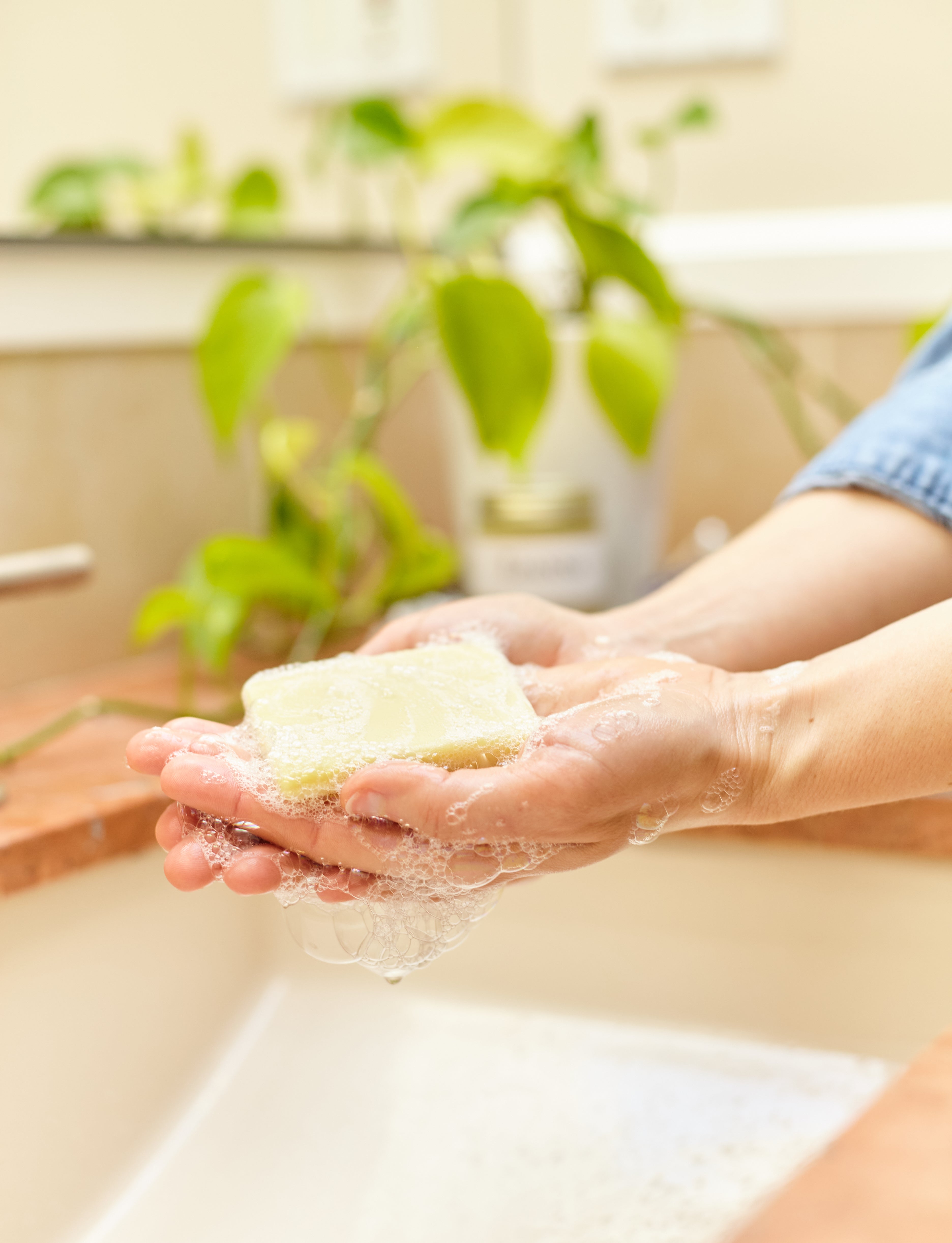 Washing hands with olive oil soap over sink. Shows lush light lather on skin.