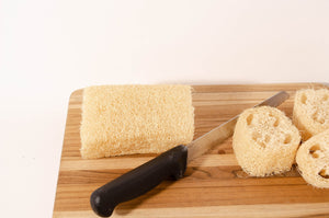 Loofah/Luffa Sponge and Soap Saver